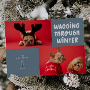 Wagging Door Winter Slate Blue Pet Foto Feestdagenkaart