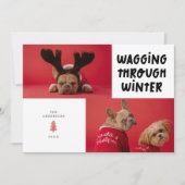 Wagging door Winter White Pet Foto Feestdagenkaart (Voorkant)