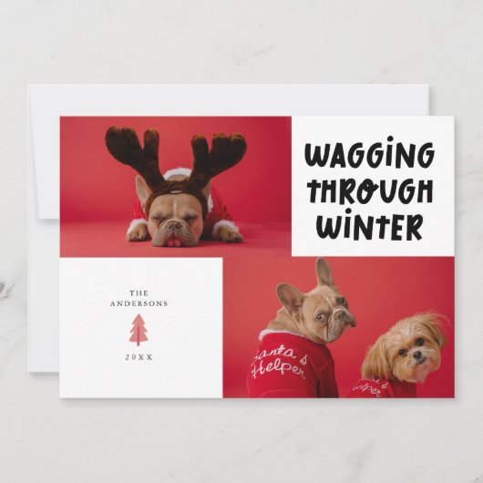 Wagging door Winter White Pet Foto Feestdagenkaart (Voorkant)