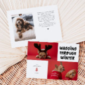 Wagging door Winter White Pet Foto Feestdagenkaart