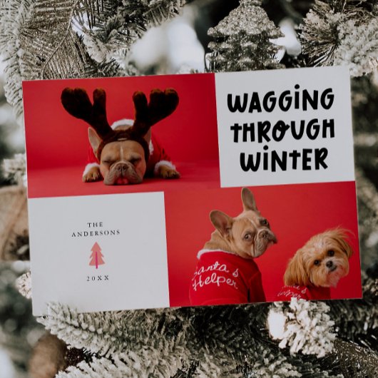 Wagging door Winter White Pet Foto Feestdagenkaart