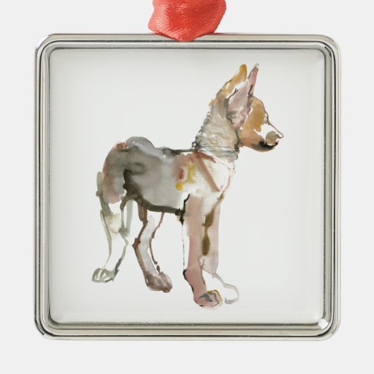 Waggle Metalen Ornament (Voorkant)