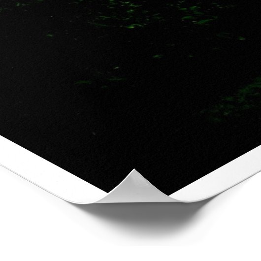 Waggoner Mansion, Decatur, Texas Poster (Hoek)