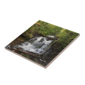 Wagner Falls-tegel Tegeltje (Zijkant)