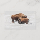 Wagon, Outhouse, Barn, American Bison, Buffalo Visitekaartje (Achterkant)