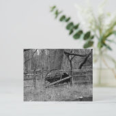 Wagon Wiel Briefkaart (Staand voorkant)