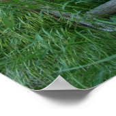 Wagon Wiel Poster (Hoek)