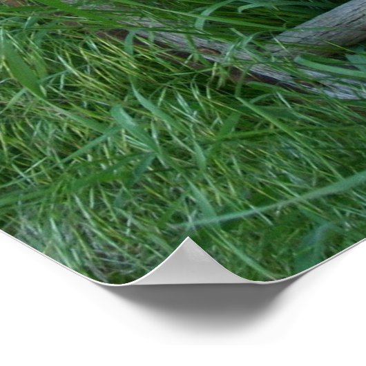 Wagon Wiel Poster (Hoek)