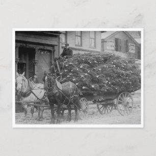 Wagonlading kerstbomen briefkaart