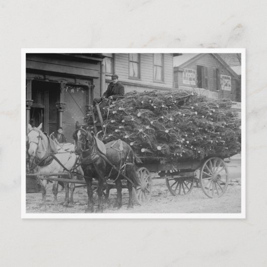 Wagonlading kerstbomen briefkaart (Voorkant)