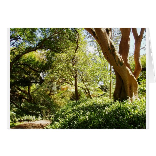 Wahiawa botanische tuin (Voorkant Horizontaal)