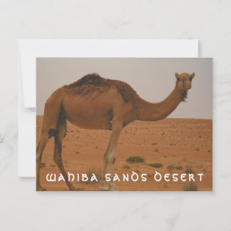 Wahiba Sands Desert briefkaart