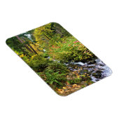 Wahkeena-Herfsten, Columbia River Gorge, Oregon Magneet (Rechterzijde)