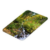 Wahkeena-Herfsten, Columbia River Gorge, Oregon Magneet (Linkerzijde)