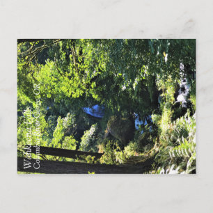 Wahkeena-Herfsten, OF Briefkaart