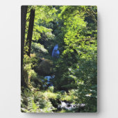 Wahkeena-Herfsten, OF Fotoplaat (voorkant)