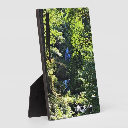 Wahkeena-Herfsten, OF Fotoplaat (Zijkant)