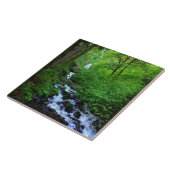 Wahkeena-Herfsten, OF Tegeltje (Zijkant)