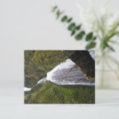 Wahkeena Herfsten, Oregon Briefkaart (Staand voorkant)
