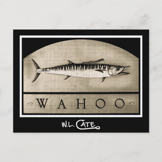 Wahoo  zwarte en witte Briefkaarten (Voorkant)