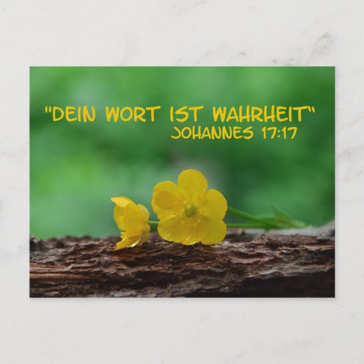 Wahrheit .... briefkaart (Voorkant)