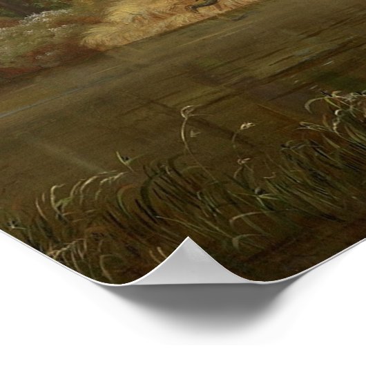 Waikato Poster (Hoek)