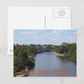 Waikato River, Hamilton Briefkaart (Voorkant / Achterkant)
