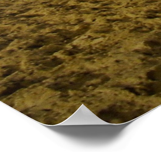 Waikiki 6 poster (Hoek)