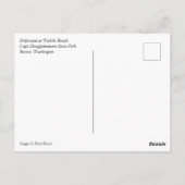 Waikiki Beach, Cape Diseption, Washington Briefkaart (Achterkant)