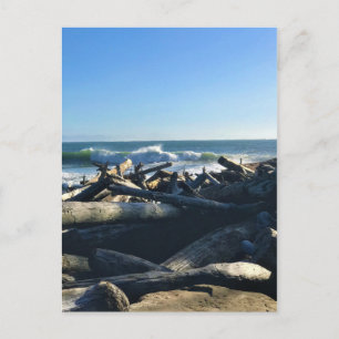 Waikiki Beach, Cape Diseption, Washington Briefkaart