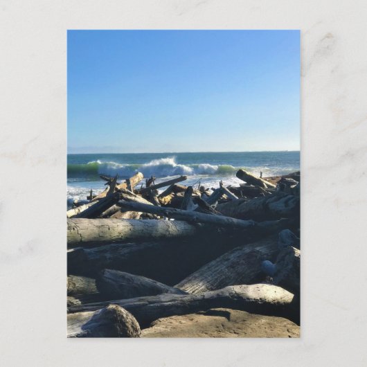 Waikiki Beach, Cape Diseption, Washington Briefkaart (Voorkant)