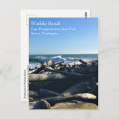 Waikiki Beach, Cape Diseption, Washington Briefkaart (Voorkant / Achterkant)