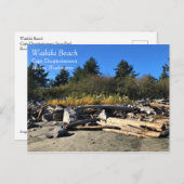 Waikiki Beach, Cape Diseption, Washington Briefkaart (Voorkant / Achterkant)