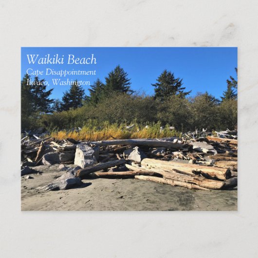 Waikiki Beach, Cape Diseption, Washington Briefkaart (Voorkant)