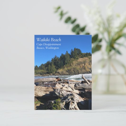 Waikiki Beach, Cape Diseption, Washington Briefkaart (Staand voorkant)