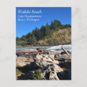 Waikiki Beach, Cape Diseption, Washington Briefkaart (Voorkant)