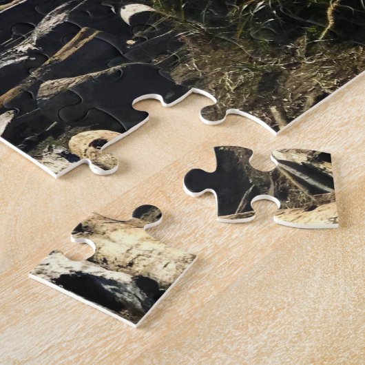 Waikiki Beach, Cape Diseption, Washington Legpuzzel (Zijkant)