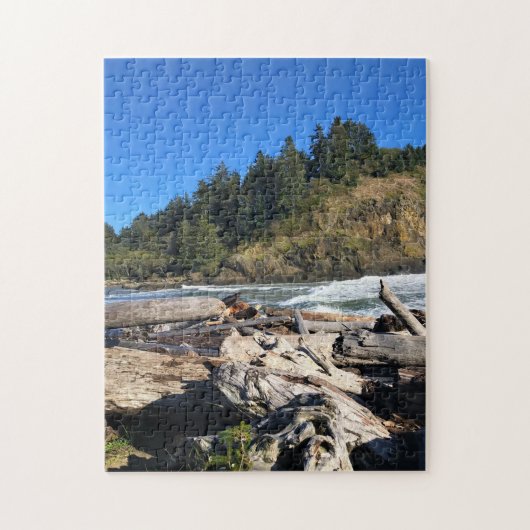 Waikiki Beach, Cape Diseption, Washington Legpuzzel (Verticaal)