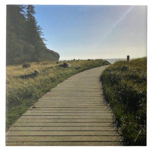 Waikiki Beach, Cape Diseption, Washington Tegeltje