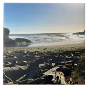 Waikiki Beach, Cape Diseption, Washington Tegeltje