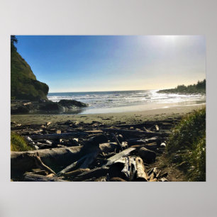 Waikiki Beach, Kaap Disappointment, Washington Poster
