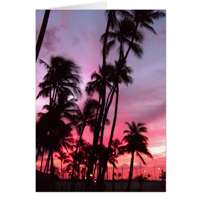 Waikiki Sunset (Voorkant)