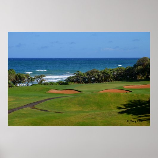 Wailua Golf Hole Poster (Voorkant)