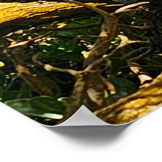 Wailua Golfbaan Scène Poster (Hoek)