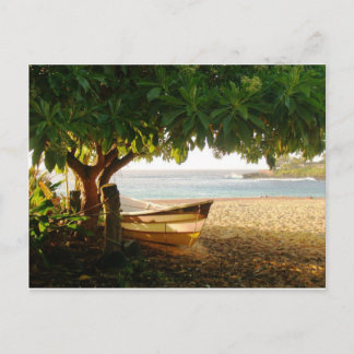 Waimea Bay Summer Eve Foto van Daniela Power Briefkaart