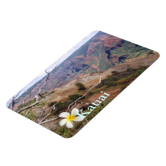 Waimea Canyon 1 Magneet (Linkerzijde)