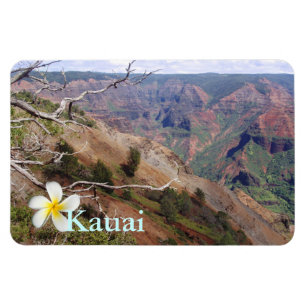 Waimea Canyon 1 Magneet