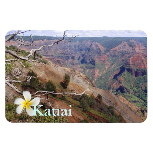 Waimea Canyon 1 Magneet (Horizontaal)