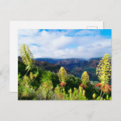 Waimea Canyon | Kauai, Hawaii Briefkaart (Voorkant / Achterkant)