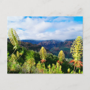 Waimea Canyon Kauai, Hawaii Briefkaart